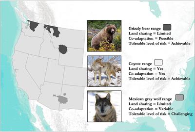 Are We Coexisting With Carnivores in the American West?